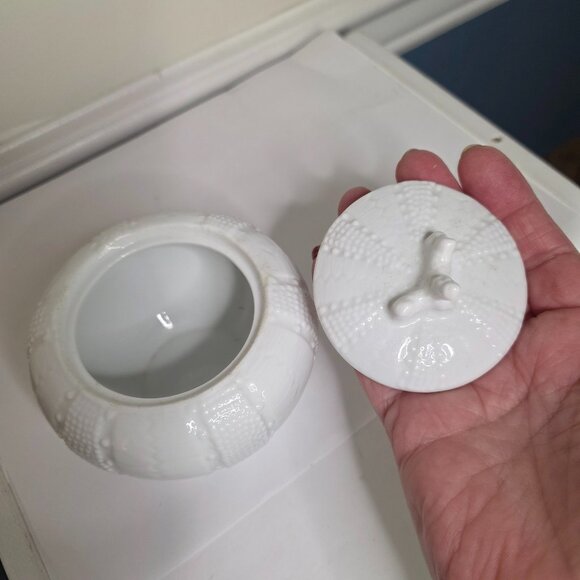 Paris Royal White Porcelain Sea Urchin Trinket Box - Picture 7 of 7